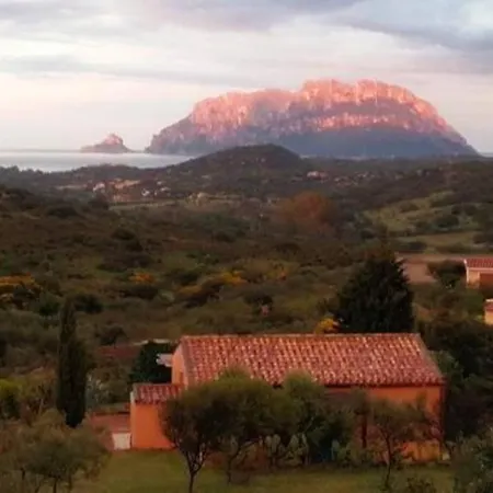 Mare E Campagna Murta Maria